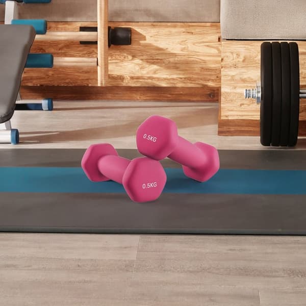 Halters – Set van 2 – 2 x 0,5 kg