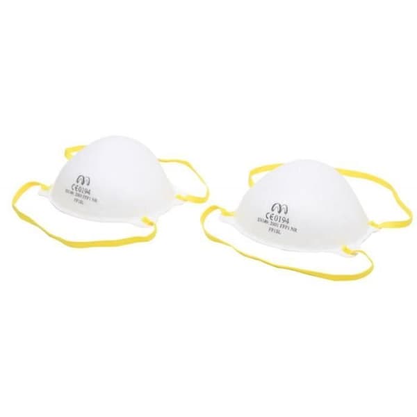 Dammmasker 2 st