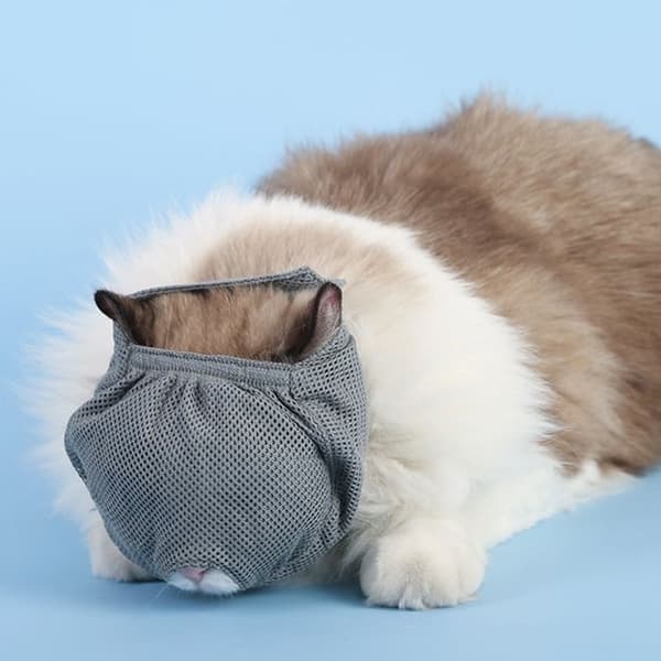 INF Kattemunnkurv: Anti-Bite & Pustende Maske for Stell