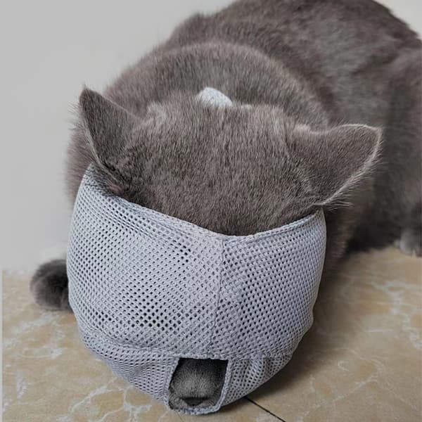 INF Kattemunnkurv: Anti-Bite & Pustende Maske for Stell