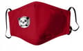 Pikkukuva 1 / 11: LAPSILLE RED PANDA -naamio + 3 x PM 2.5 -suodatin