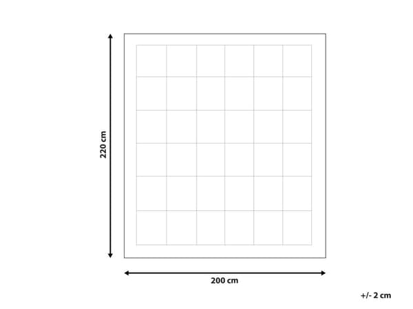 Dyne Hvid Polyester med Microfiber Fyld 200 x 220 cm til Allergikere og Hjælp til Søvn