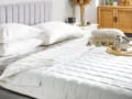 Pikkukuva 2 / 7: Peitto polyesteri puuvilla 135 x 200 cm allergiaystävällinen