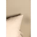 Miniatyrbilde 5 av 5: Tyra putetrekk 60x60cm beige.