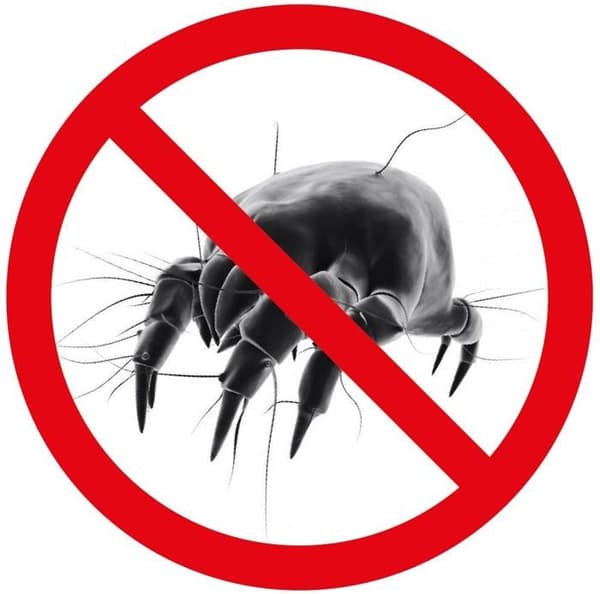 Allergosystem påslakan - 015250250S - Anti-mite påslakan för dubbelsäng, 250 x 200 cm, polyester