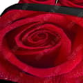 Miniatyrbild 4 av 4: TD® Rose-serien tredelat påslakan hushållssängkläder 3D digitalt tryckt blomkuddfodral