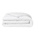 Miniatyrbild 2 av 2: Prestige idag BLATE - 240 x 260 cm - 2 personer - 100% Percale kantfinish - Krita