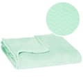 Miniatyrbild 1 av 4: Filt - SPRINGOS - Sicksack - 70 x 160 cm - Polyester - Pastellgrön