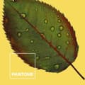 Miniatyrbild 3 av 4: Påslakan Nature Pantone - UK king size-säng (240 x 220 cm)