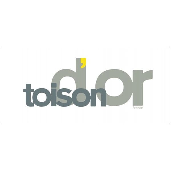 Fleecefilt "Teddy Non-fire - Standard NF EN ISO 12952" alla storlekar Toison d'or - Teddy Steel - 240 x 300 cm