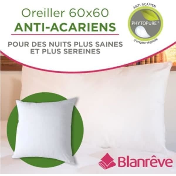 Blanrêve - Fast kuddar mot kvalster - förstärkt syntetisk fyllning 600G - Ekologiskt ansvarsfull - Tillverkad i Frankrike - 60x60 cm