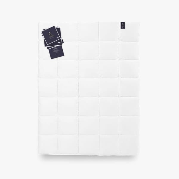 Gåsdunsfilt 100 % 155 x 200 QUEEN 490 g Exklusivt
