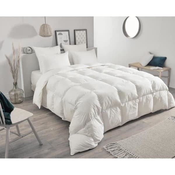 TOISON D'OR - Lämmin Daisy-peitto (300g/m²) - 240x260cm - Höyheniä ja untuvaa - 2 hengelle - Valkoinen