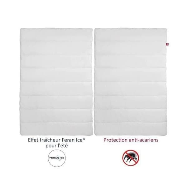 ABEIL Duvet 4 seasons ANTI-MITES 240x260cm