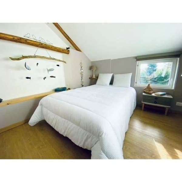 DODO tempereret dyne 240x260 cm - 2 personer - Insekt- og midebeskyttelse - 300 g/m² - Hvid - Lavet i Frankrig