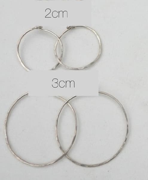 Earrings - Creoles - Pineapple - 2 or 3 cm rings