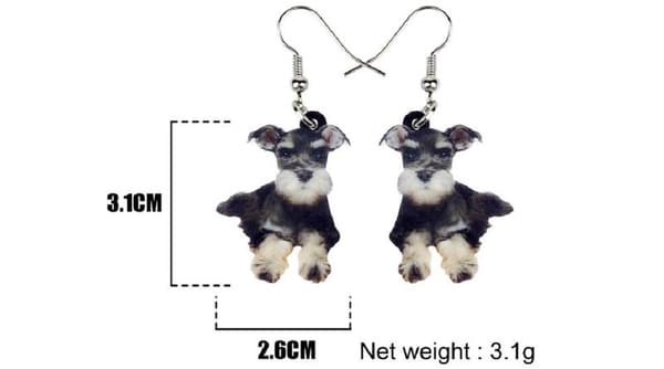 Örhängen Schnauzer Hundras Dog Hund Djur
