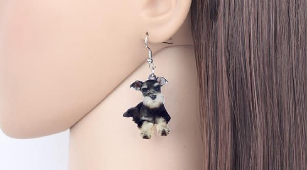 Örhängen Schnauzer Hundras Dog Hund Djur