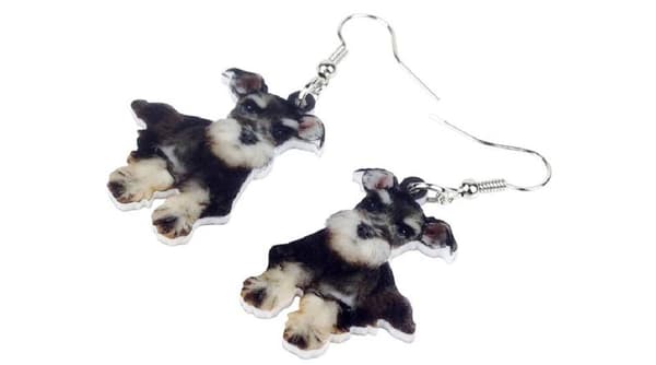 Örhängen Schnauzer Hundras Dog Hund Djur