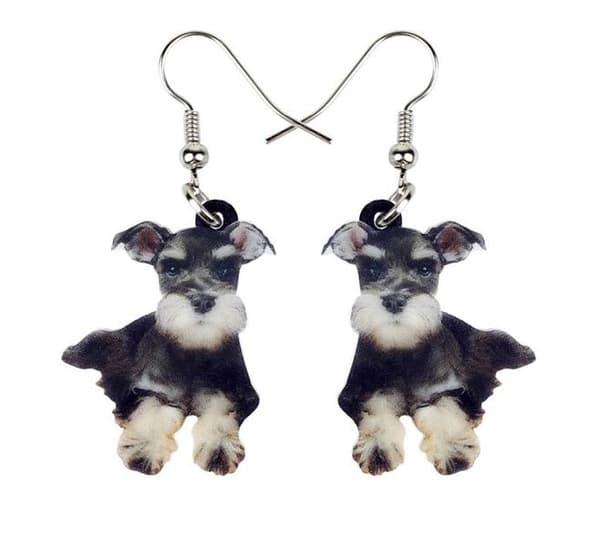 Örhängen Schnauzer Hundras Dog Hund Djur