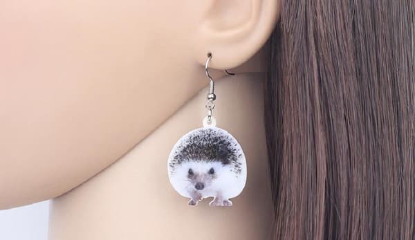 Örhängen Igelkott Hedgehog Djur Animal