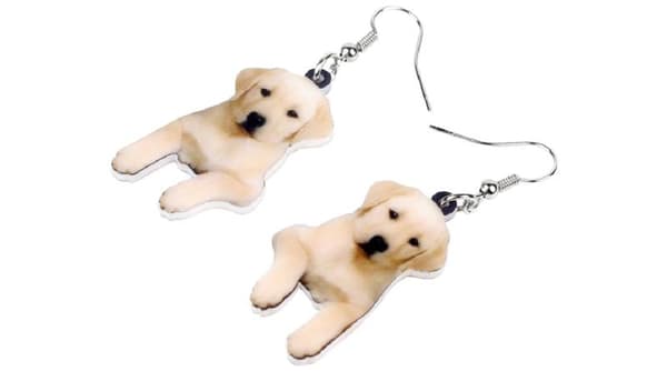 Örhängen Labrador Hundras Golden Retriver Djur