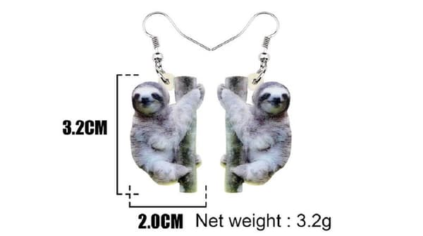 Örhängen Sengångare Sloth Djur Regnskog