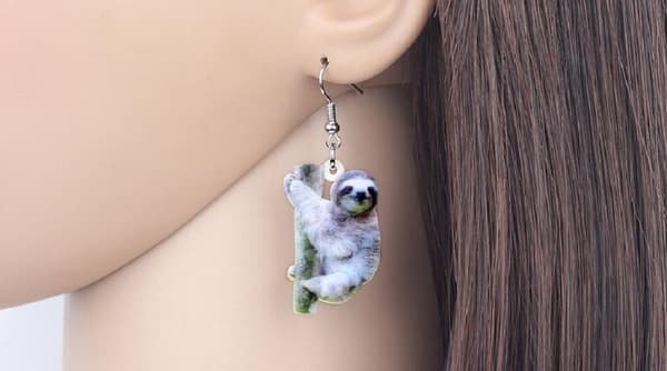 Örhängen Sengångare Sloth Djur Regnskog