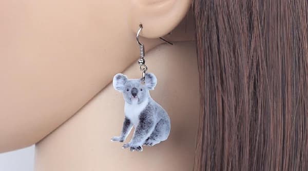 Örhängen Koala Australien Däggdjur Koala Bear Eucalyptus