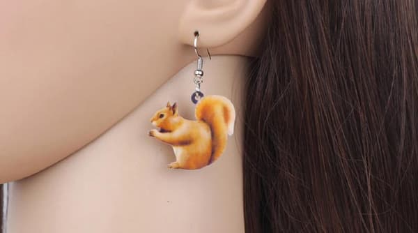 Örhängen Ekorre Höst Squirrel Djur