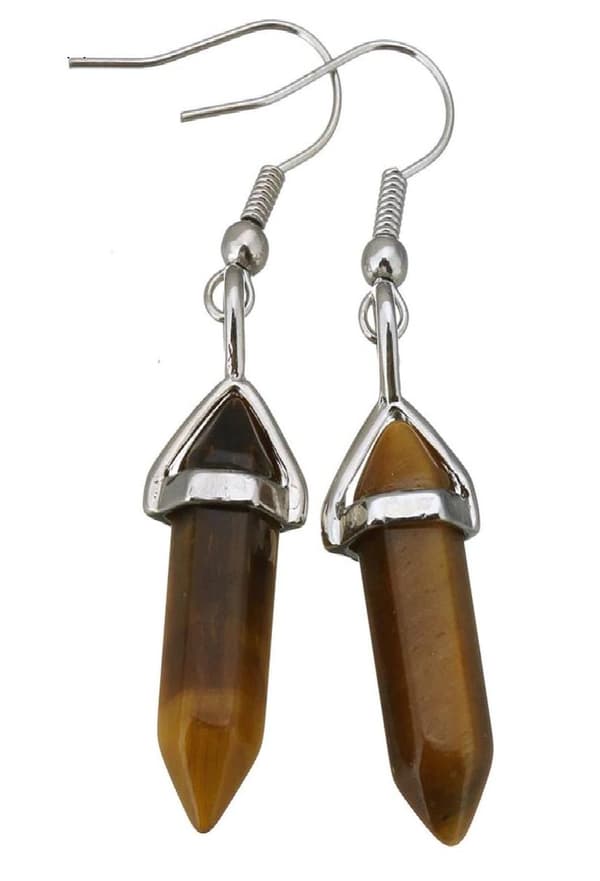 Earrings - Tigereye