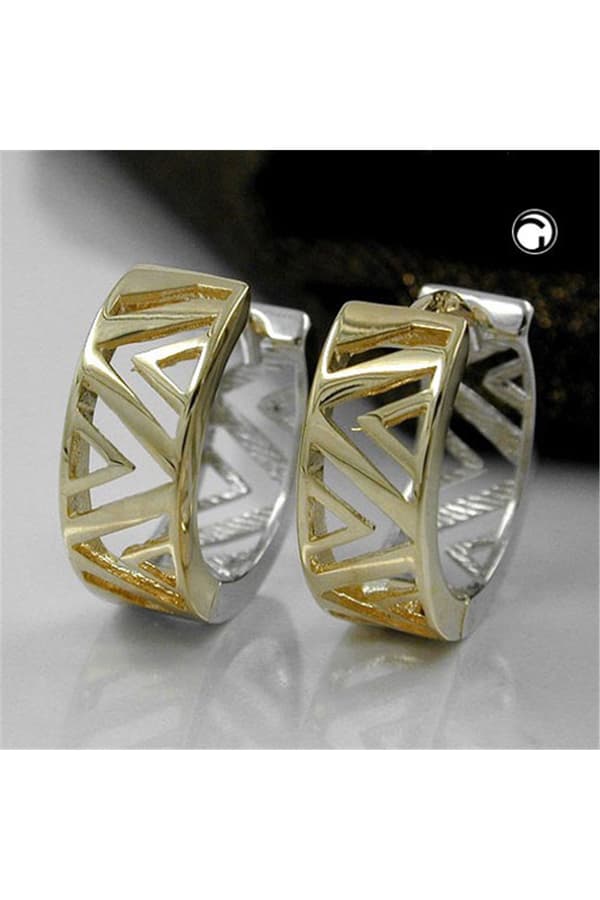 Hoop Earrings 13x5mm Hinged Hoops Creole Bicolor Yellow Gold And White Gold 9k Gold - GL430765