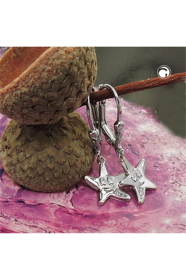 Leverback Earrings Star Silver 925 - GL93772