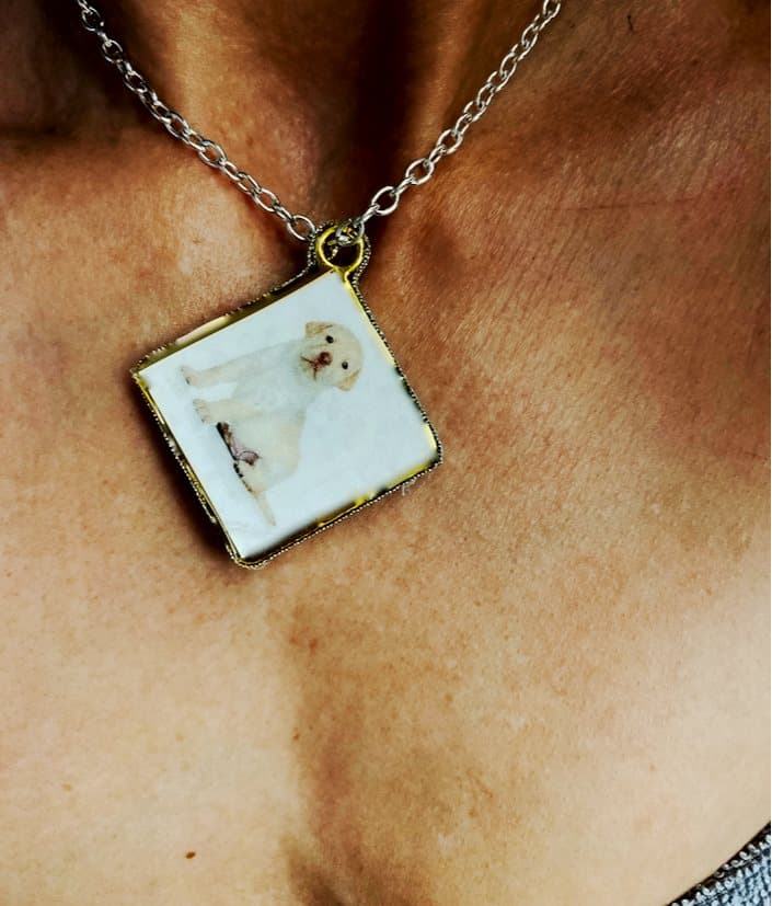 Halsband Retriver, Tax, Schäfer, Jämthund, Terrier, Collie