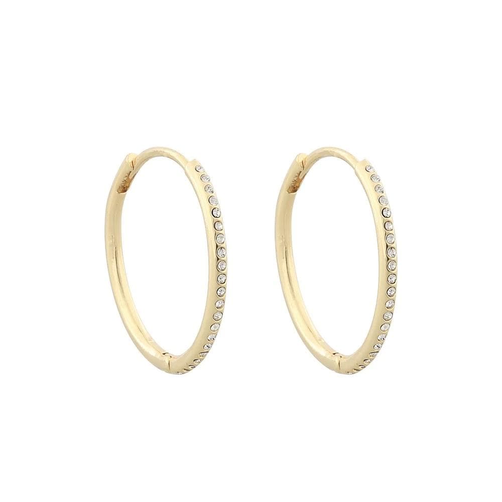 Snö Of Sweden Charms Big Ring Earring