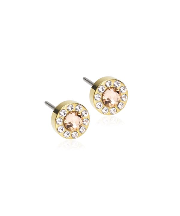 Blomdahl Örhänge G.T Brilliance Holo Crystal/Gold 6mm