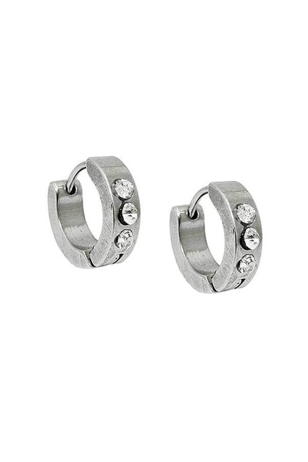 Earring Hoops Zirconia Stainless Steel - GL03226