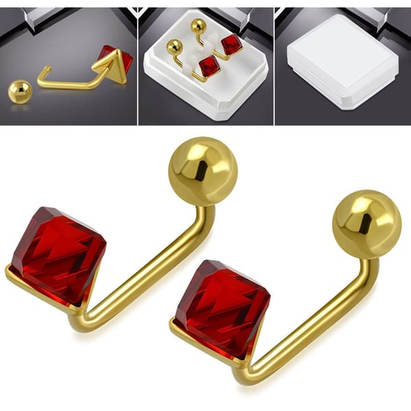 Stud Örhängen Stiftörhängen Stål 316L med röd Cubic Zircon Stud