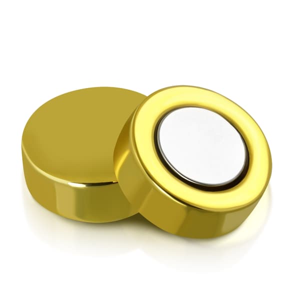 Magnetiska Örhängen Guldfärgad Stål 316L Dia 6 mm (par)