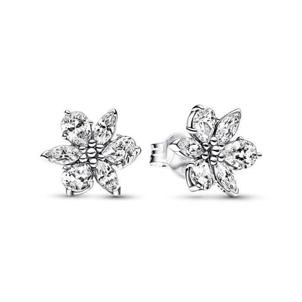 Örhängen - PANDORA - Sparkling Herbarium - 925 Silver - Grå - Dam