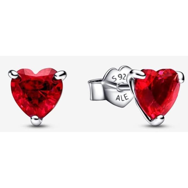 Dam örhängen Pandora 292549C01 Rostfritt stål Sterlingsilver 925