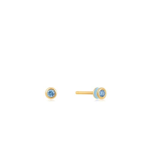 ANIA HAIE E028-01G-B - Earrings Dam (0,5CM)