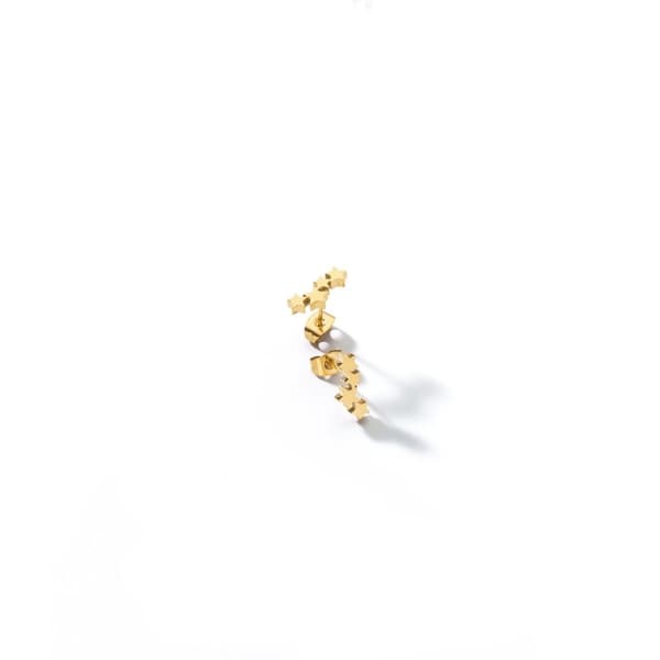 Naisten korvakorut AN Jewels ADC.E02Y
