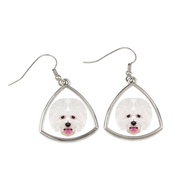 Bichon Frise, Teneriffan koira - korvakorut valokuvalla ja geometrisella tekstillä koira Art-Dog