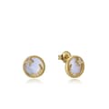 Miniatyrbilde 1 av 2: Ladies' Earrings Viceroy 13080E100-90