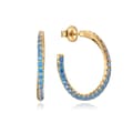 Miniatyrbilde 1 av 2: Ladies' Earrings Viceroy 13135E100-33 Sterling silver 925