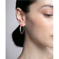 Miniatyrbilde 2 av 2: Earrings Viceroy 14147E01014