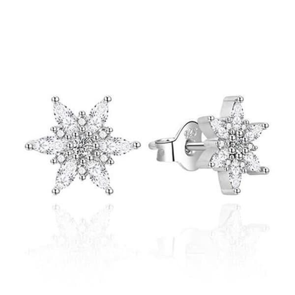 Charmiga snöflingeörhängen i silver AGT-E003PW