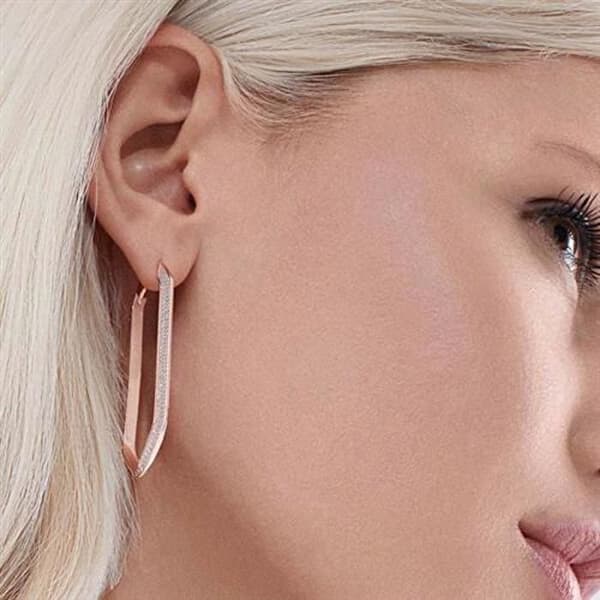 Enkla örhängen med cubic zirconia Eva RZEV25