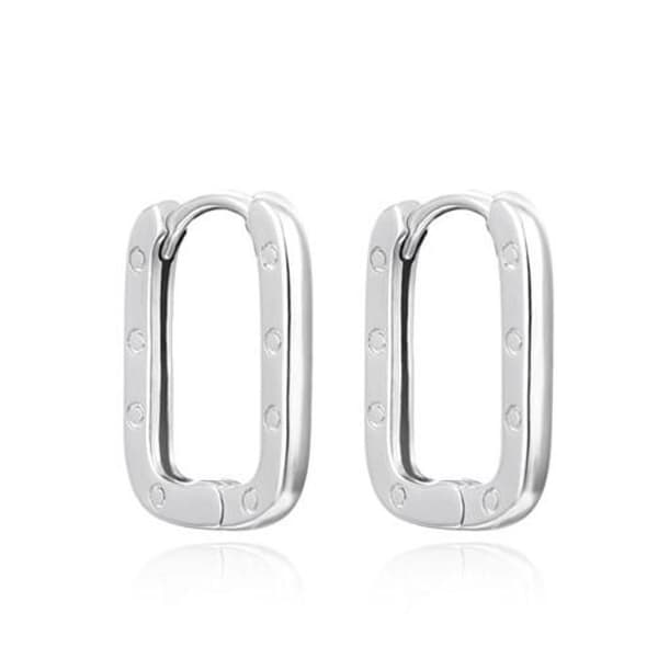 Eleganta örhängen i silver AGUC3510
